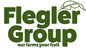 Flegler Group