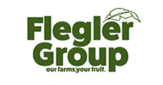 Flegler Group